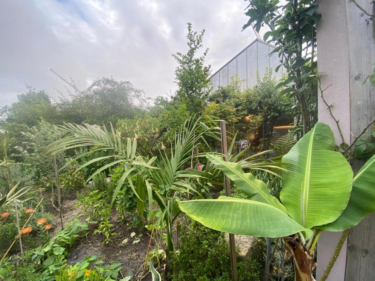 Koko Garden Apartment ポルト エクステリア 写真